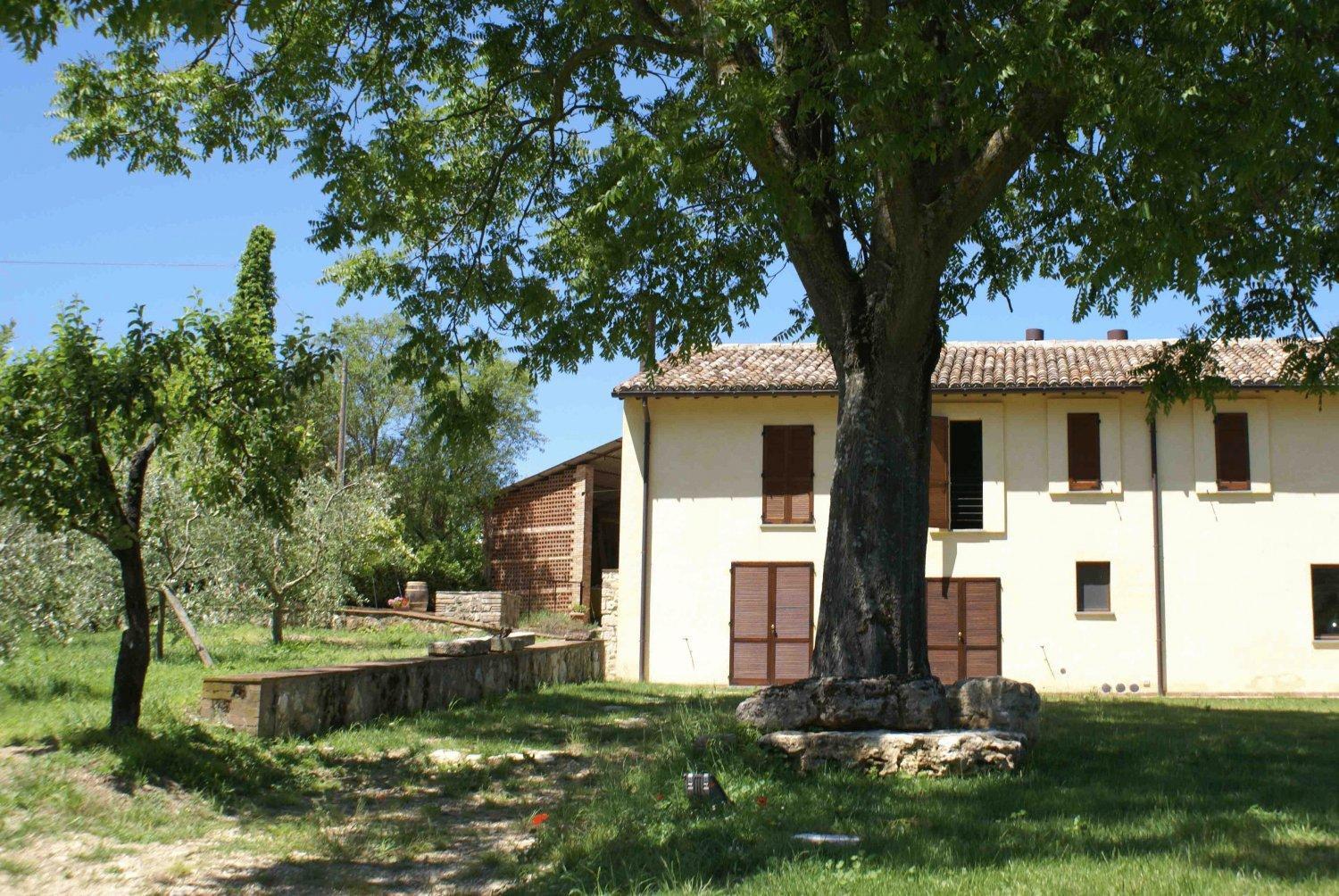 La Perticara Agriturismo Acquasparta Dış mekan fotoğraf