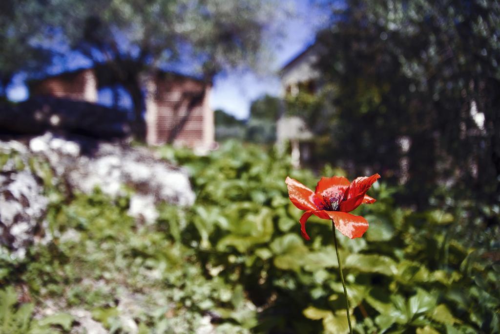 La Perticara Agriturismo Acquasparta Dış mekan fotoğraf