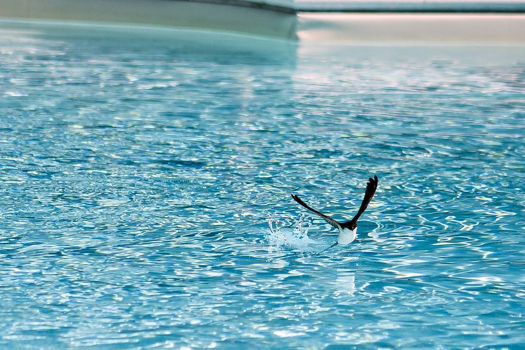 La Perticara Agriturismo Acquasparta Dış mekan fotoğraf